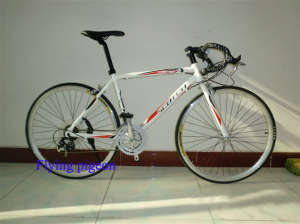 Hot Sale Sports Road Bikes, Track Bicycles (FP-RB-10)