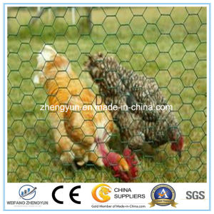 Hot Sale Hexagonal Mesh Chicken Cage