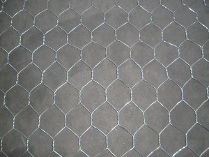 Hexagonal Fencing Wire Netting for Farm