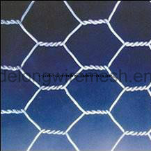 Best Quality Hexagonal Wire Netting